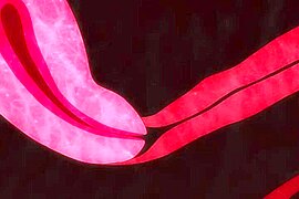 Endless Body with Fantasy in a world of fantasy - free porn video